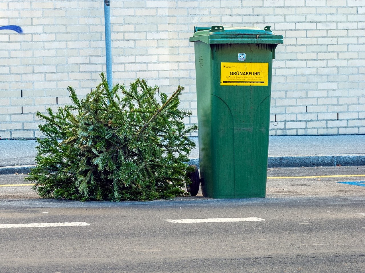 Ein gebrauchter Weihnachtsbaum liegt neben einer Grüntonne