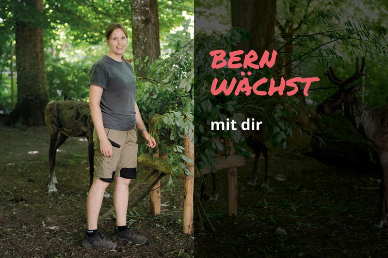 Mitarbeiterin des Tierparks steht im Wald des Dählhölzli, im Hintergrund ein Rentier. Text im Bild: „Bern wächst – mit dir“.