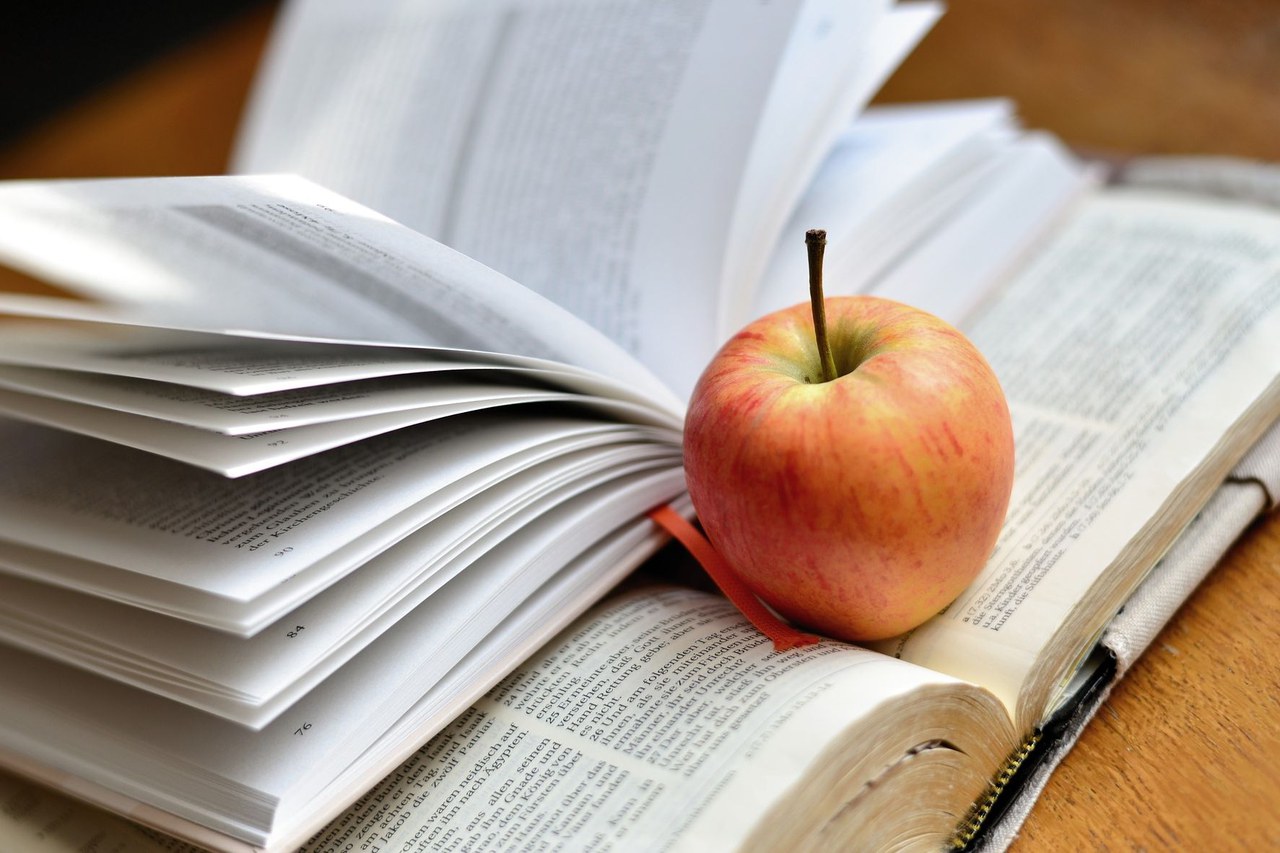 Symbolbild Gesundheit: Apfel auf zwei Büchern