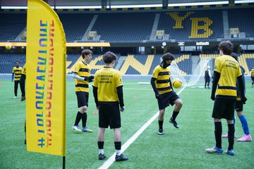 YB. Vergrösserte Ansicht