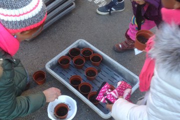 Flower Power, ein Zeichen gegen Rassismus mit Blumensamen (Kidswest). Vergrösserte Ansicht