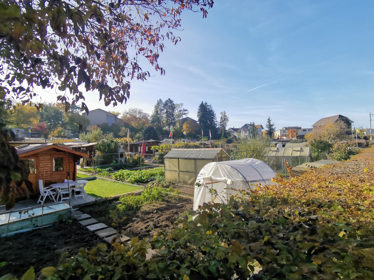 Familiengarten-Areal Ladenwandgut: Kleine Garten-Häuschen umrundet von grünen Pflanzen