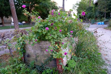 UrbanGardening Ralligplatz 4. Vergrösserte Ansicht