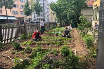 Quartiergarten Neufeldstrasse. Vergrösserte Ansicht