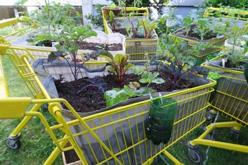 Garten im WanderWEGeli. Vergrösserte Ansicht