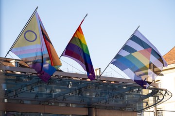 Fahnen Baldachin. Vergrösserte Ansicht