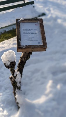 Postkarten von den Toten im Schnee