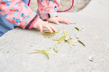 Foto Kita Weissenstein 2. Vergrösserte Ansicht