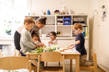 5. Vergrösserte Ansicht