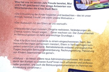 Jahresbericht 2020 Seite 04. Vergrösserte Ansicht