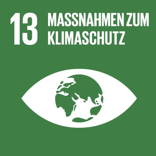 SDG13