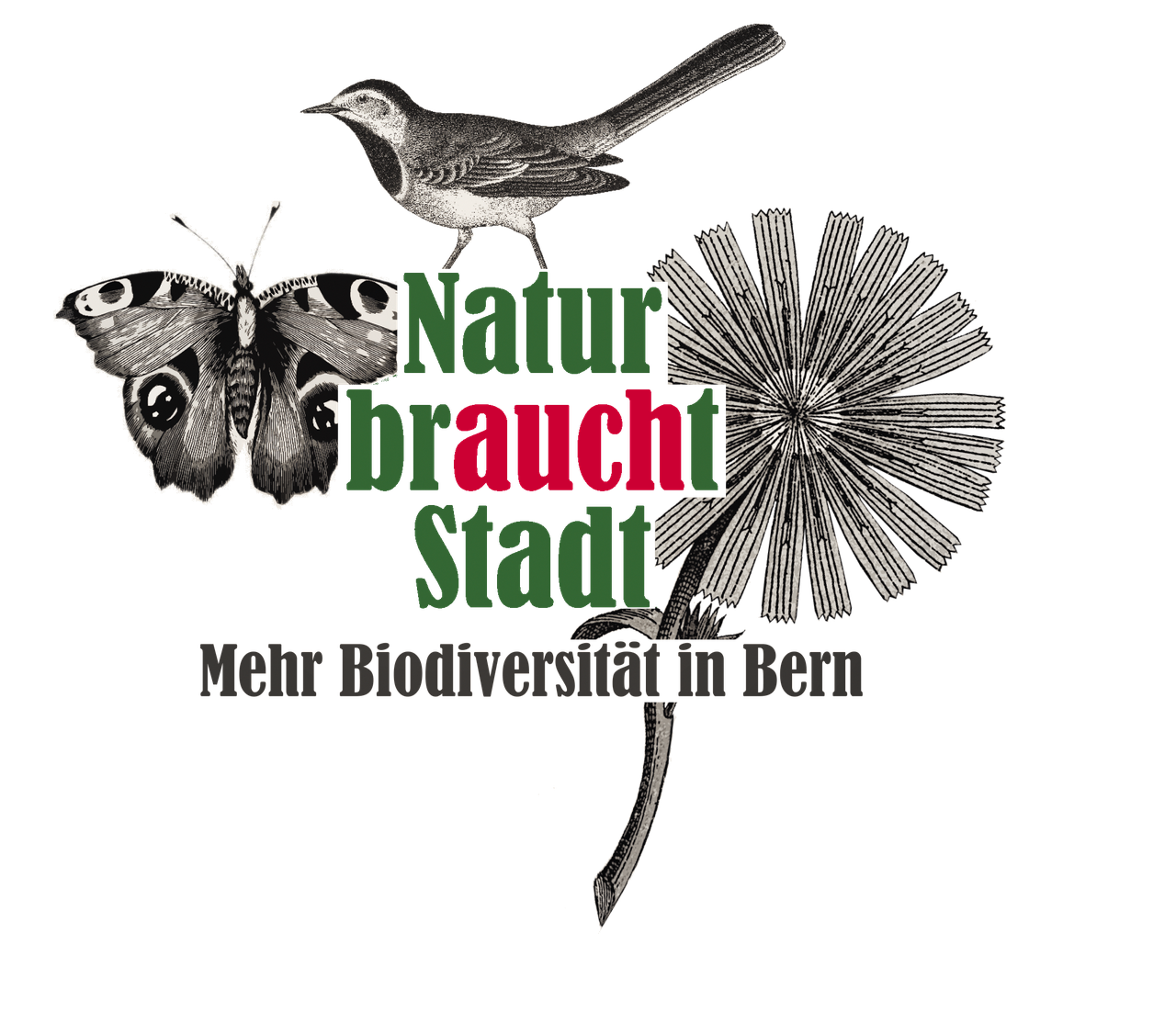 Logo Natur braucht Stadt