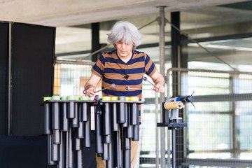 12 Tubes and loops von G. Wiesmann P.Amez. Vergrösserte Ansicht