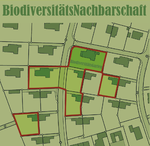 Stadtplan von Bern als Logo für die BiodiversitätsNachbarschaft