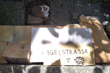 BiodiversitätsGarten Stadt Bern. Vergrösserte Ansicht