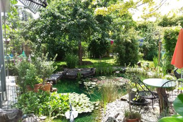 BiodiversitätsGarten Stadt Bern. Vergrösserte Ansicht