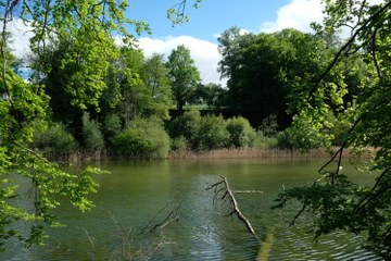 Elfenau-Reservat. Vergrösserte Ansicht