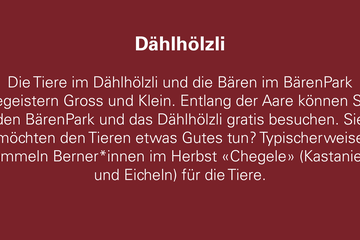 Dählhölzli. Vergrösserte Ansicht