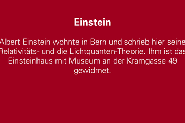 Einstein. Vergrösserte Ansicht