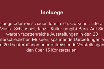 Ineluege. Vergrösserte Ansicht