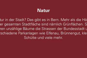 Natur. Vergrösserte Ansicht