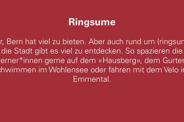 Ringsume. Vergrösserte Ansicht