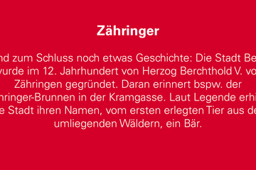 Zähringer. Vergrösserte Ansicht